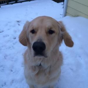 Meet your Posher, Willie